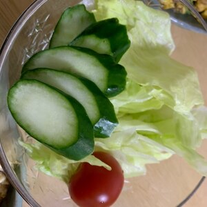 レタスときゅうりとミニトマトのサラダ